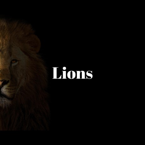 Lions | Boomplay Music