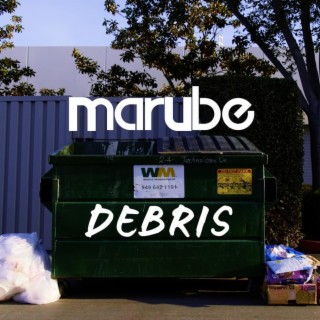 DEBRIS