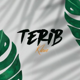 Terib