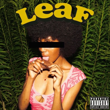 LEAF | Boomplay Music