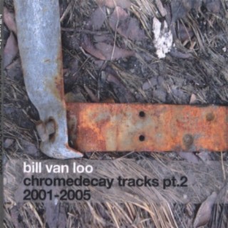 Bill Van Loo