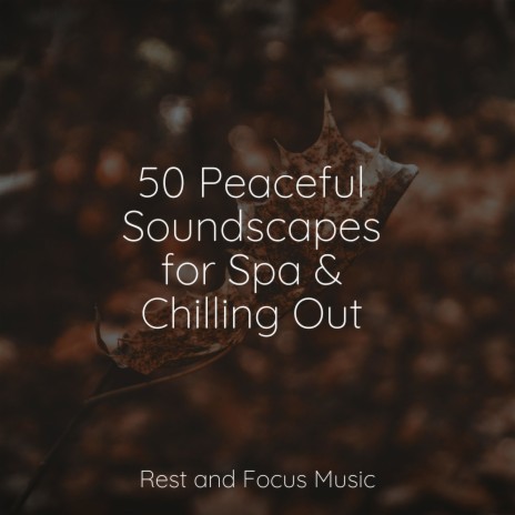 Relaxing Harmonies | Boomplay Music