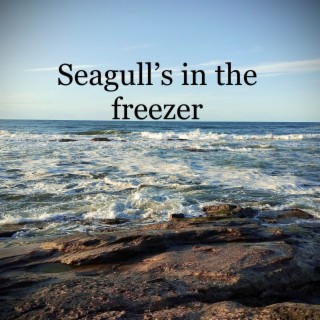 Seagull's in the freezer