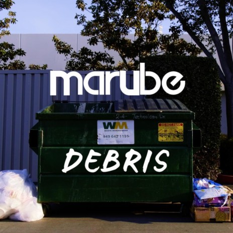 Debris