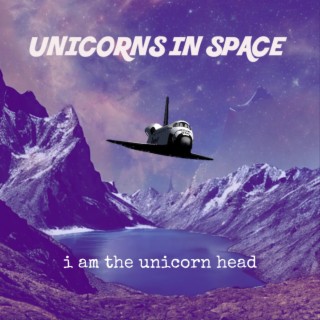 Unicorns in Space