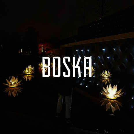 BOSKA | Boomplay Music