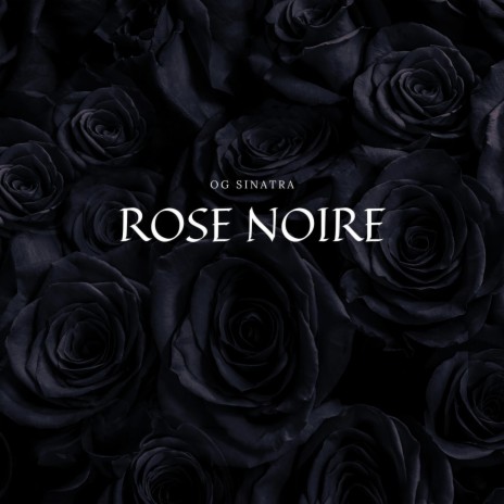 Rose Noire