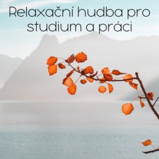 Relaxační hudba pro studium a práci