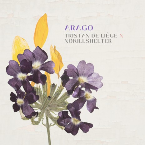 Arago ft. NoKillShelter