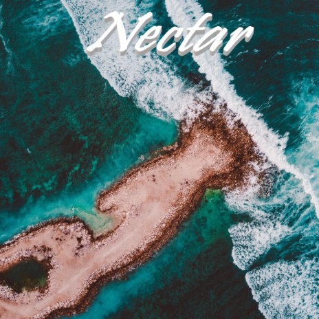 Nectar | Boomplay Music