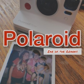 Polaroid