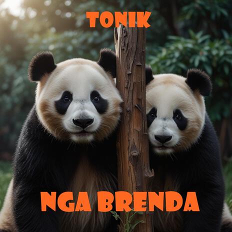 Nga Brenda | Boomplay Music