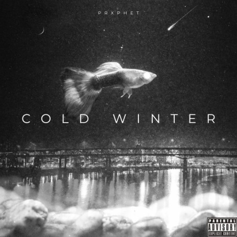 Cold Winter | Boomplay Music