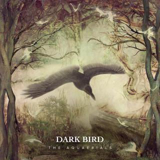 Dark Bird