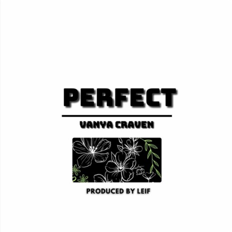 Perfect | Boomplay Music