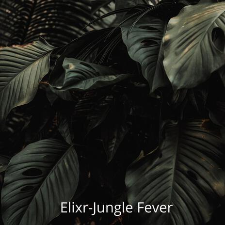 Jungle Fever | Boomplay Music