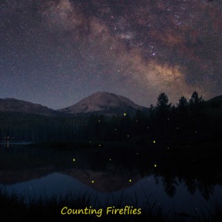 Counting Fireflies