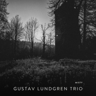 Gustav Lundgren Trio