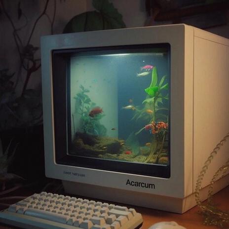 aquarium