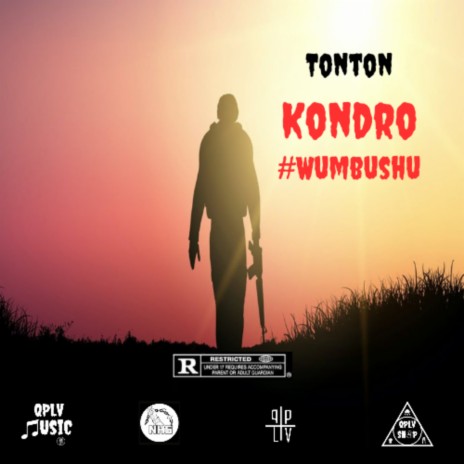 Kondro #Wumbushu | Boomplay Music