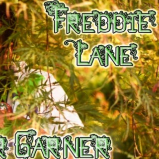 Freddie Lane