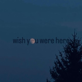 Wish You Were Here lyrics | Boomplay Music