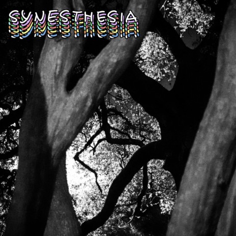 Synesthesia