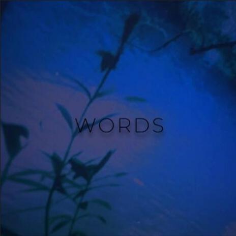 words | Boomplay Music