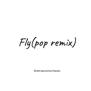 Fly (Pop remix)