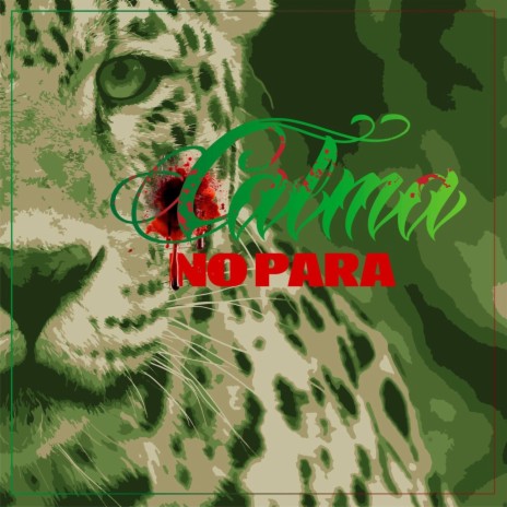 No Para | Boomplay Music