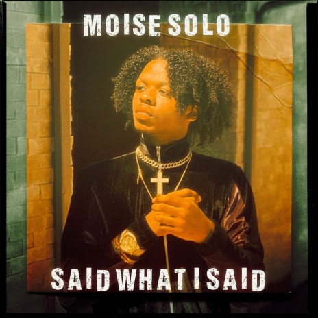 Said What I Said | Boomplay Music