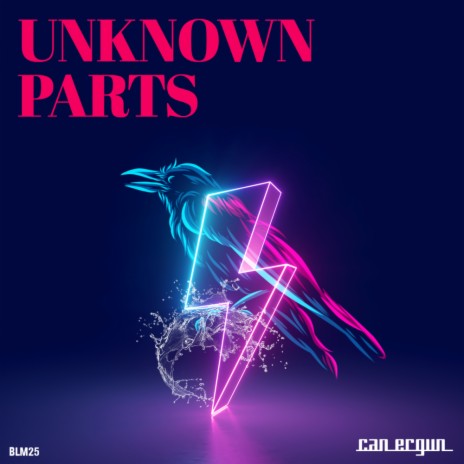 Unknown Parts (Original Mix) | Boomplay Music
