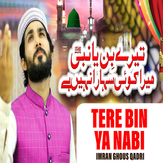 Tere Bin Ya Nabi