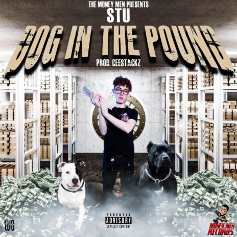 DOG IN THE POUND | Boomplay Music