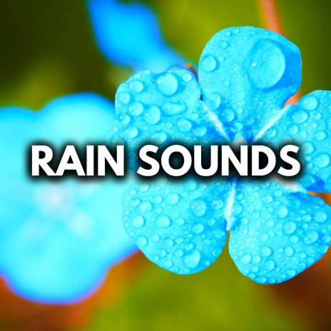 Midnight Rain Sounds (Loopable, No Fade Out) ft. White Noise for Sleeping, Rain For Deep Sleep & Nature Sounds for Sleep and Relaxation