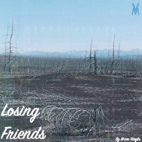 Losing Friends | Boomplay Music