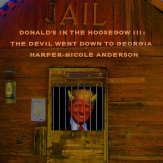 Donald's in the Hoosegow III: The Devil Went Down to Georgia