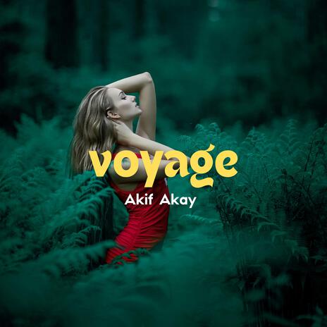 Voyage | Boomplay Music