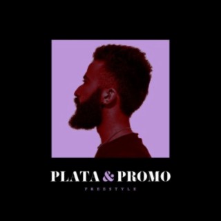 Plata O Promo Freestyle lyrics | Boomplay Music
