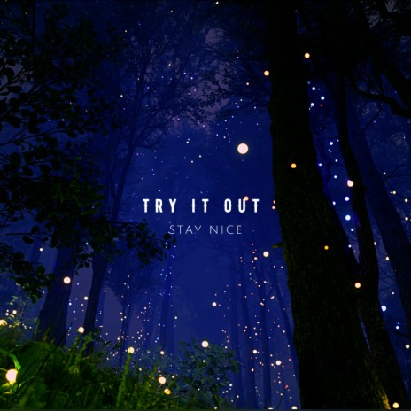 Try It Out | Boomplay Music