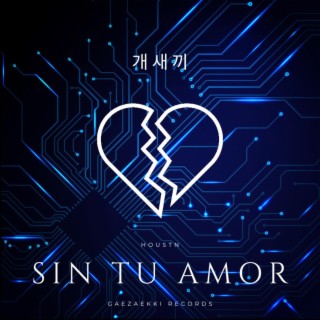 Sin Tu Amor lyrics | Boomplay Music