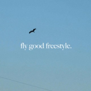 fly good freestyle lyrics | Boomplay Music