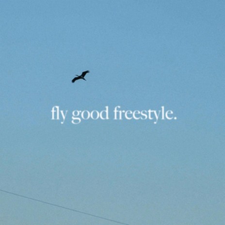 fly good freestyle | Boomplay Music
