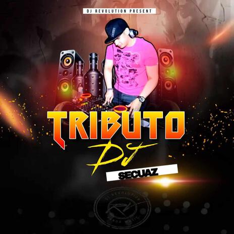 Tributo Dj Secuaz | Boomplay Music