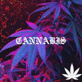 CANNABIS