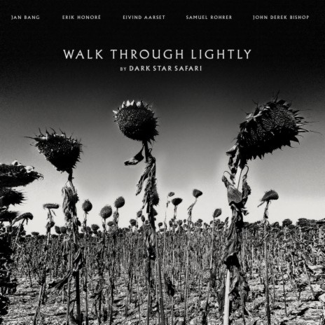 Walk Through Lightly ft. Erik Honoré, Eivind Aarset, John Derek Bishop, Samuel Rohrer & Dark Star Safari | Boomplay Music