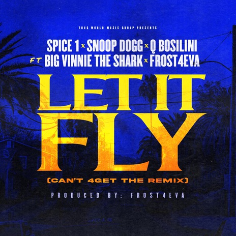 Let It Fly (Can't 4Get The Remix) (Radio Edit) ft. Snoop Dogg, Q Bosilini, Big Vinnie The Shark & Frost4eva | Boomplay Music