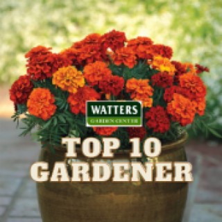 Top 10 Gardener with Ken Lain