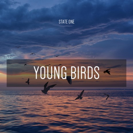 Young Birds | Boomplay Music