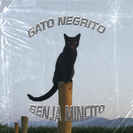 Gato Negrito | Boomplay Music